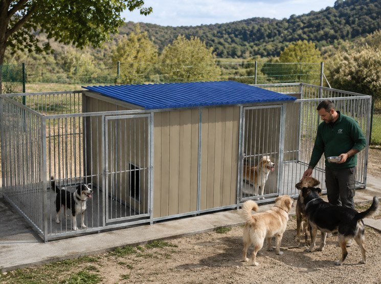 Perreras interiores y portátiles para uso doméstico en Gáldar y resto de Las Palmas Comida natural para perros y precauciones antes de cambiar su dieta en Gáldar y resto de Las Palmas